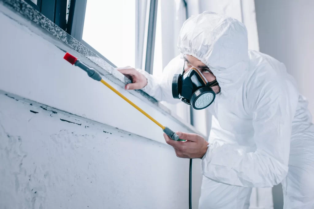 Profissional aplicando produto para controlo de pragas numa área afetada.